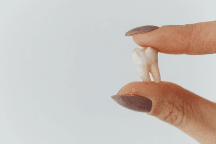 Close-up of a person holding a removed tooth between their thumb and index finger against a plain background.