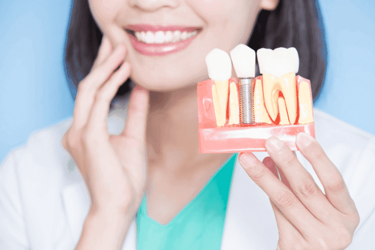 Dentist holding a dental implant model showing tooth replacement and gum structure.